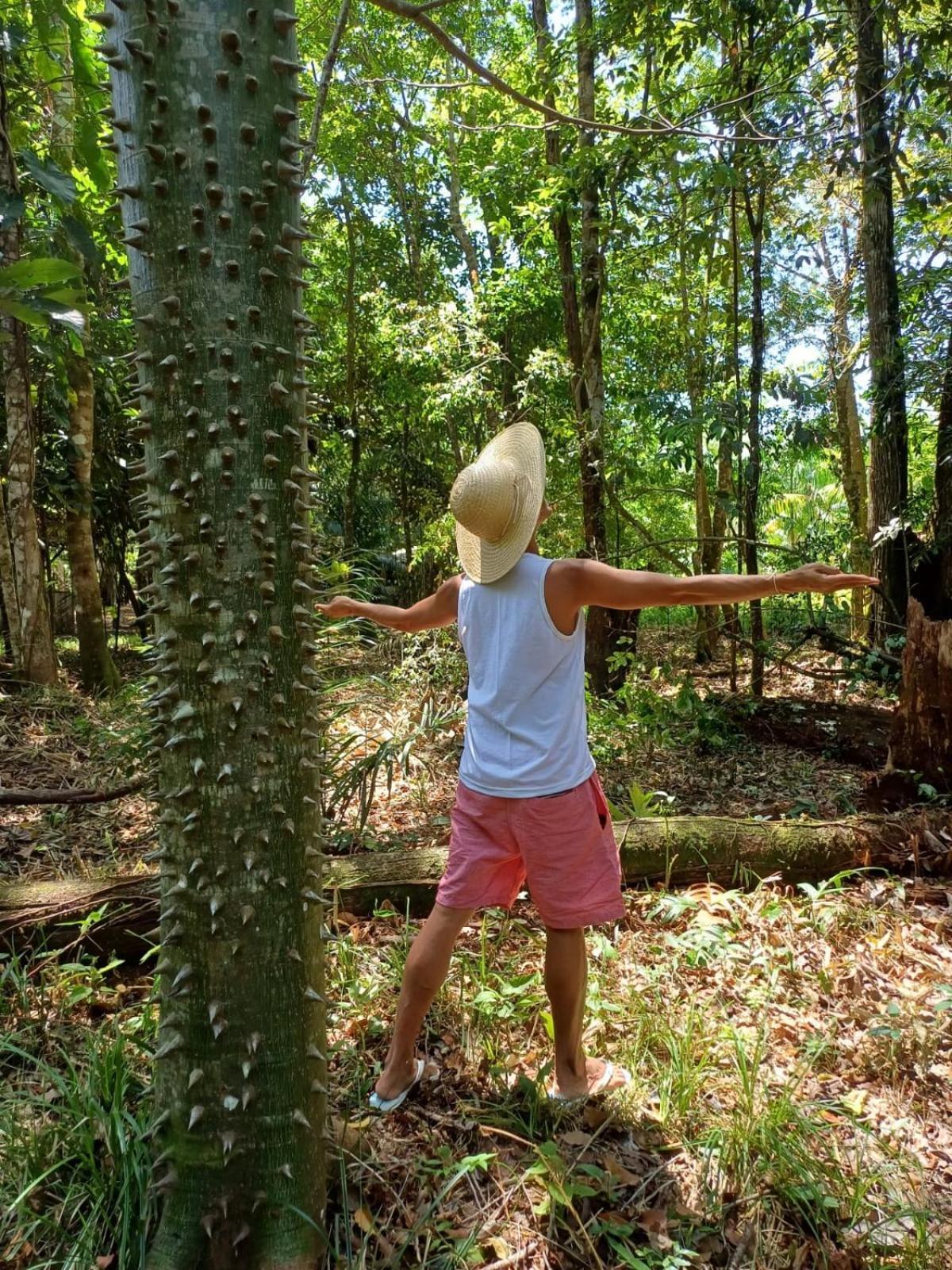 ホテル Eco Sitio O Labirinto Do Fauno モスケイロ エクステリア 写真