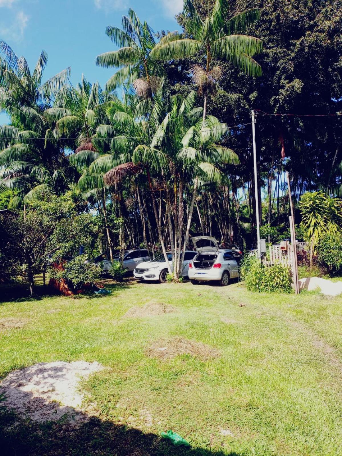 ホテル Eco Sitio O Labirinto Do Fauno モスケイロ エクステリア 写真