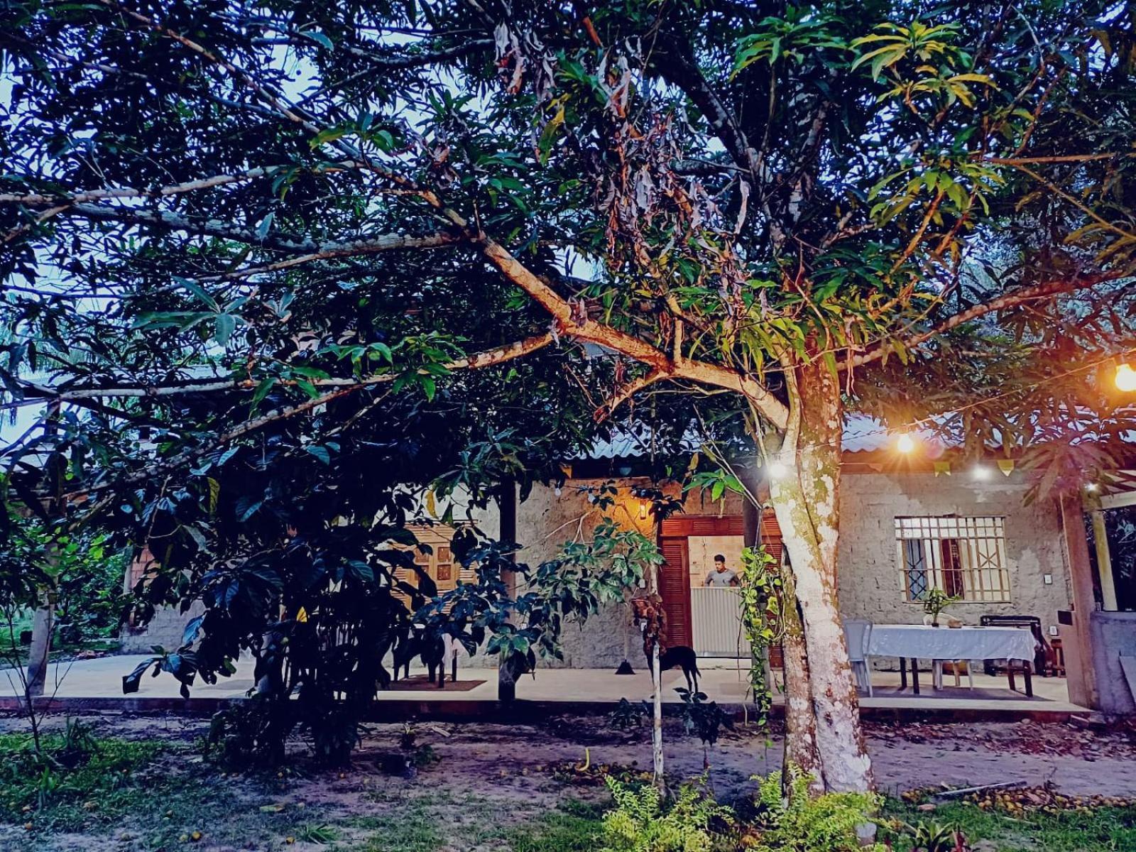 ホテル Eco Sitio O Labirinto Do Fauno モスケイロ エクステリア 写真