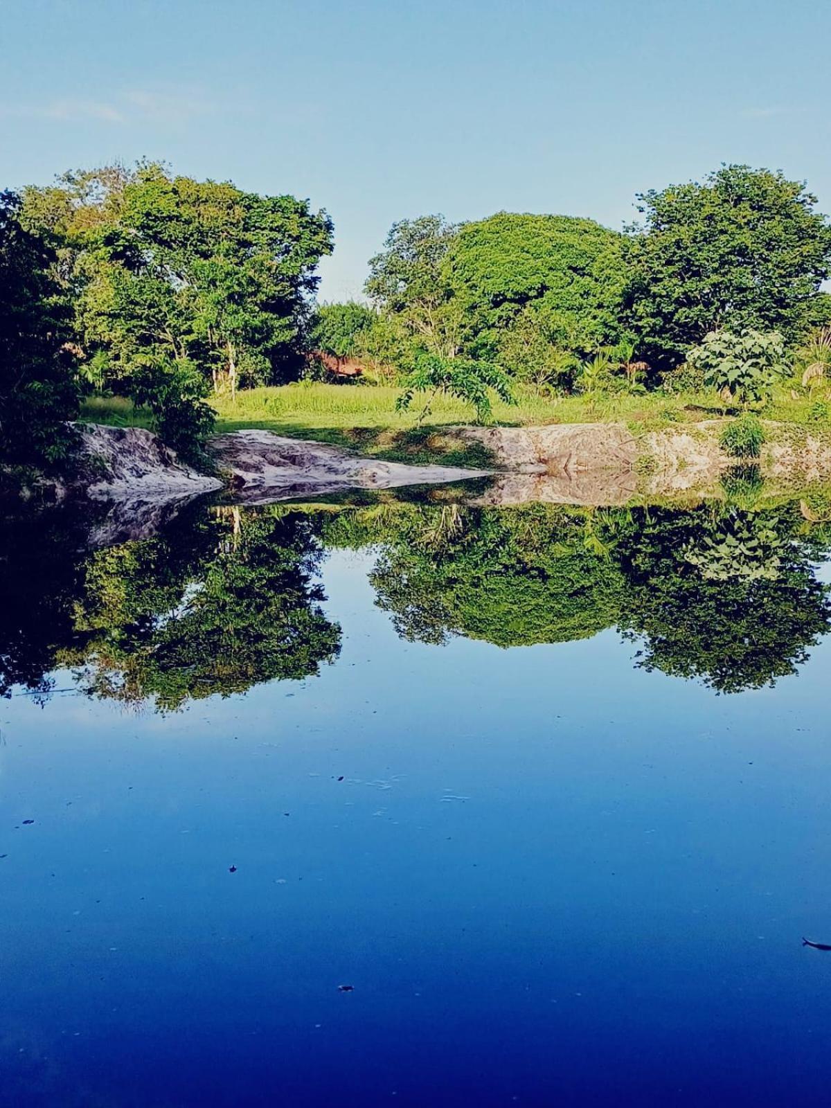 ホテル Eco Sitio O Labirinto Do Fauno モスケイロ エクステリア 写真
