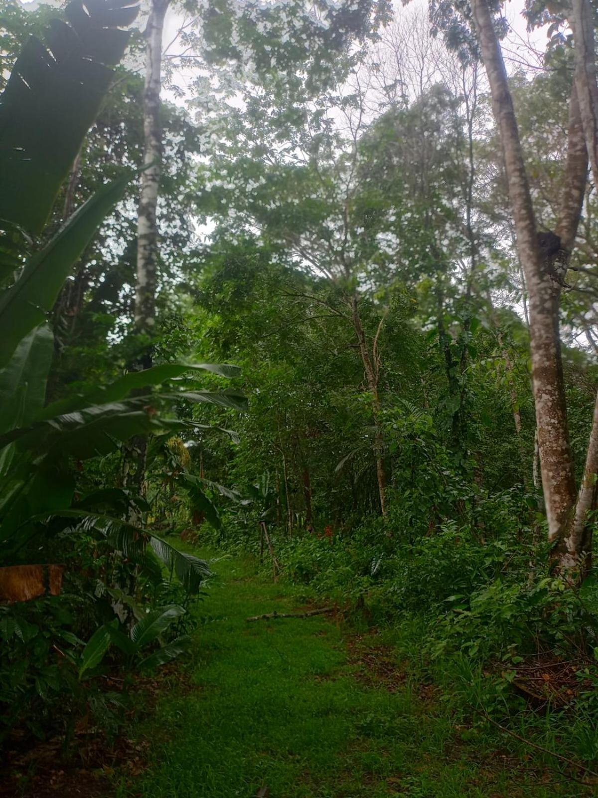 ホテル Eco Sitio O Labirinto Do Fauno モスケイロ エクステリア 写真