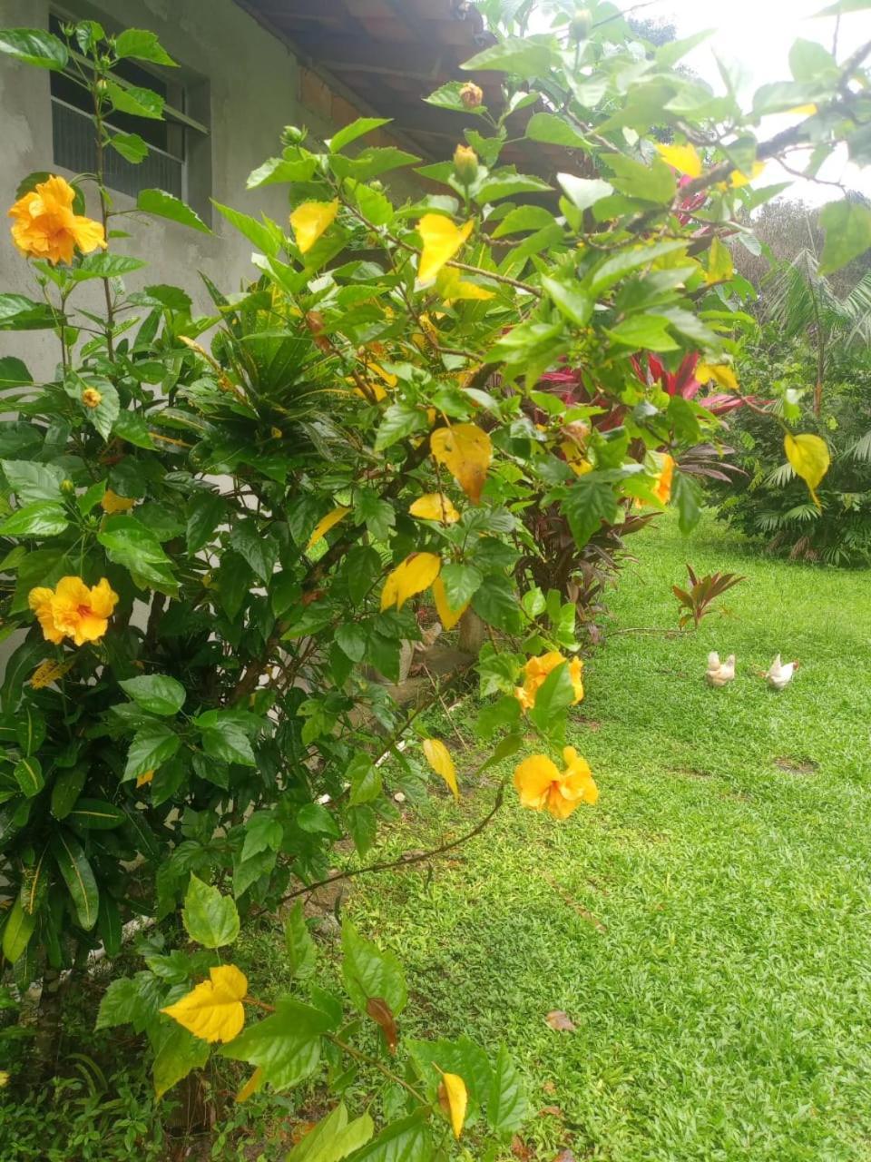 ホテル Eco Sitio O Labirinto Do Fauno モスケイロ エクステリア 写真